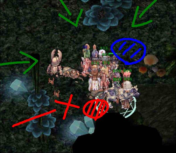 4.JPG